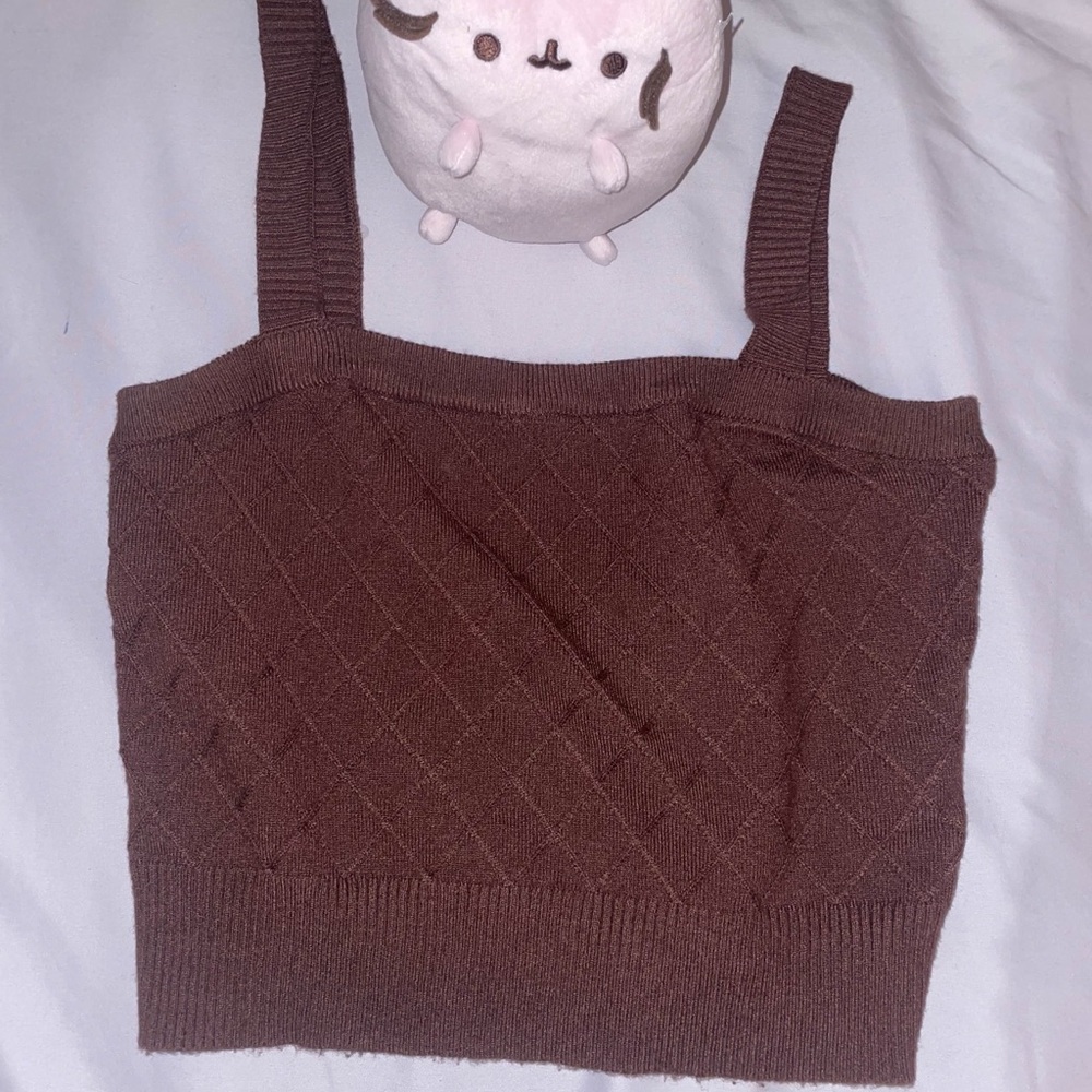 Kenar Brown Knit Crop Top